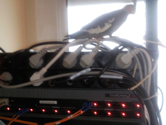 Switch ATM Marconi ForeRunner LE 155